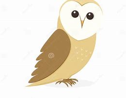 Image result for Barn Owl Clip Art