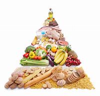 Image result for Types of Food Diets