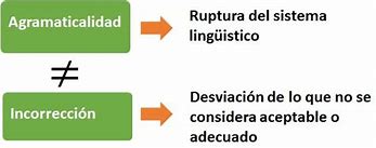 Image result for agramativalidad