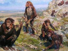 Image result for 4 Million Years Ago Human