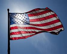 Image result for United States Flag