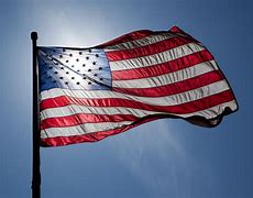 Image result for Golden American Flag