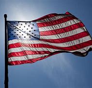 Image result for United States Flag
