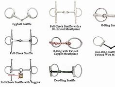 Image result for snaffle bits use