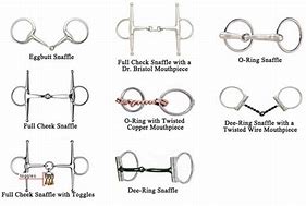 Image result for Different Types of Snaffle Bits