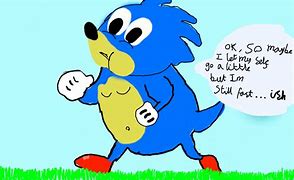 Image result for Fat Sonic Meme