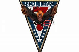 Image result for Seal Team Seven Logo Patch