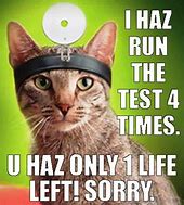 Image result for Funny Memes About Life in General