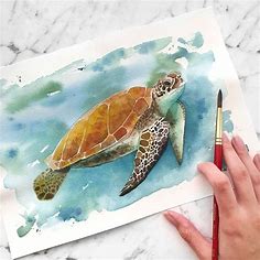 Learn watercolour | Turtle watercolor, Sea turtle art, Turtle art