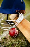 Image result for Cricket Tools