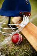 Image result for Cricket Training Equipment