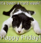 Image result for monday v friday cats memes