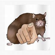 Image result for Rat Pointing Meme