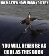 Image result for Duck in Pothole Meme