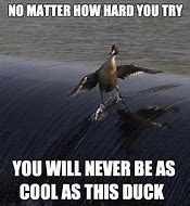 Image result for Cool Duck Meme