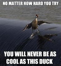Image result for Weird Duck Meme