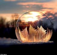 Image result for Freeze Motion Photography