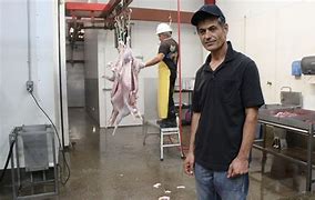 Image result for Halal Slaughter