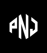 Image result for Logo PNJ 8X8