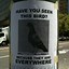 Image result for Funny Missing Pet Signs