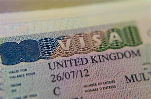 Image result for What Does a Work Visa Look Like