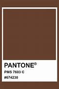 Image result for Brown Pantone Color