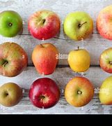 Image result for Apple Fruit Types