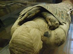 Image result for Ancient Egyptian Mummies
