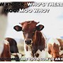 Image result for Funny Cow Memes Cartoons
