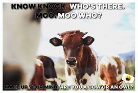 Image result for Honey the Cows Meme