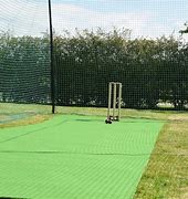 Image result for Cricket Pitch Mat