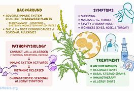 Image result for Ragweed Allergy Bumps
