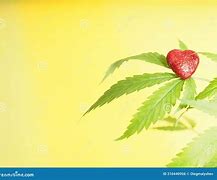 Image result for Heart and Marijuana