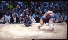 Image result for Women's Sumo