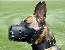Image result for Military Dog Muzzle