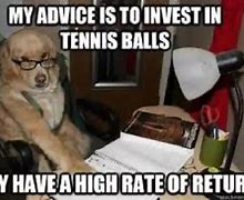 Image result for Happy Retirement Meme Dogs
