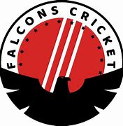 Image result for Flat Roof Cricket