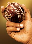 Image result for 10 Steps of Hand Cricket