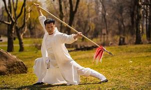 Image result for 4000 Years of Chinese Martial Arts