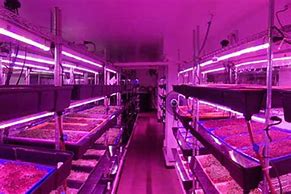 Image result for Micro Green LED Grow Lights