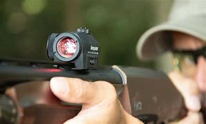 Image result for View through Aimpoint Micro