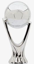 Image result for Silver Football Trophy