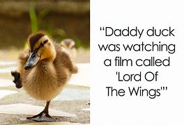 Image result for Duck Puns