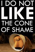Image result for Movie Up Cone of Shame