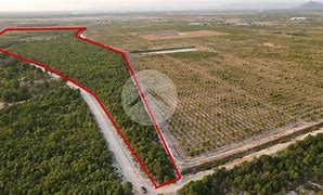 Image result for 1 Hectare Land