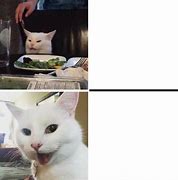Image result for Smudge Cat Meme Template