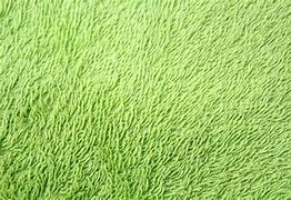 Image result for Green Tablecloth