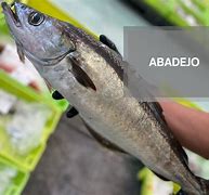 Image result for abadeho