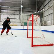 Image result for Hockey Goal Out