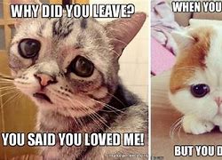 Image result for Sad Girl Cat Meme